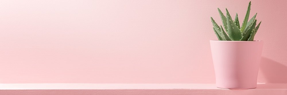 AdobeStock_322764402_-_Copy.max-1200x640.jpg